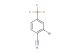 2-bromo-4-(trifluoromethyl)benzonitrile