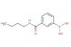3-(butylaminocarbonyl)phenylboronic acid