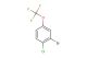 2-bromo-1-chloro-4-(trifluoromethoxy)benzene