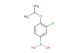 3-chloro-4-isopropoxyphenylboronic acid