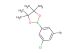 2-(3-bromo-5-chlorophenyl)-4,4,5,5-tetramethyl-1,3,2-dioxaborolane