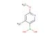 2-methoxy-4-methylpyridine-5-boronic acid