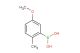 5-methoxy-2-methylphenylboronic acid