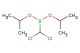 dichloromethyldiisopropoxyborane