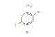 3,5-dibromo-2-fluoro-6-methylpyridine