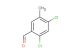 2,4-dichloro-5-methybenzaldehyde