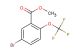 5-bromo-2-(trifluoromethoxy)benzoic acid methyl ester