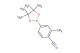 2-methyl-4-(4,4,5,5-tetramethyl-1,3,2-dioxaborolan-2-yl)benzonitrile