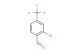 2-chloro-4-(trifluoromethyl)-benzaldehyde