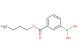 3-butoxycarbonylphenylboronic acid