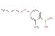 4-N-butoxy-2-methylphenylboronic acid