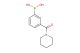 3-(piperidine-1-carbonyl)phenylboronic acid