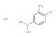 3-amino-4-chlorophenylboronic acid hydrochloride