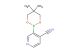 4-cyano-3-(5,5-dimethyl-[1,3,2]dioxaborinan-2-yl)-pyridine