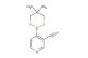 3-cyano-4-(5,5-dimethyl-[1,3,2]dioxaborinan-2-yl)-pyridine