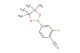 2-fluoro-4-(4,4,5,5-tetramethyl-1,3,2-dioxaborolan-2-yl)benzonitrile