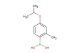 4-isopropoxy-2-methylphenylboronic acid