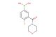 4-fluoro-3-(morpholine-4-carbonyl)phenylboronic acid