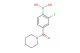 2-fluoro-4-(piperidine-1-carbonyl)phenylboronic acid