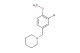 1-(3-bromo-4-methoxy-benzyl)-piperidine