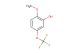 2-methoxy-5-(trifluoromethoxy)phenol