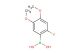 2-fluoro-4,5-dimethoxyphenylboronic acid