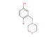 4-(2-bromo-5-hydroxybenzyl)morpholine