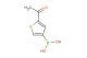 5-acetyl-3-thienylboronic acid