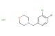4-[(4-bromo-3-chlorophenyl)methyl]-morpholine hydrochloride