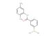 3-(2,5-dimethylphenylcarbamoyl)phenylboronic acid