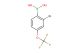 2-bromo-4-(trifluoromethoxy)phenylboronic acid