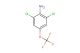 2,6-dichloro-4-(trifluoromethoxy)aniline
