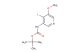 tert-butyl 4-iodo-5-methoxypyridin-3-ylcarbamate
