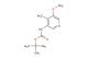 tert-butyl 5-methoxy-4-methylpyridin-3-ylcarbamate