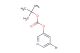 tert-butyl 5-bromopyridin-3-yl carbonate