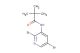 N-(2,5-dibromopyridin-3-yl)pivalamide