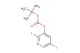 tert-butyl 2,5-diiodopyridin-3-yl carbonate