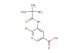 6-bromo-5-pivalamidonicotinic acid