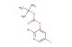 2-bromo-5-iodopyridin-3-yl tert-butyl carbonate
