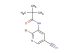 N-(2-bromo-5-cyanopyridin-3-yl)pivalamide