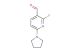 2-fluoro-6-(pyrrolidin-1-yl)nicotinaldehyde