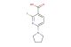 2-fluoro-6-(pyrrolidin-1-yl)nicotinic acid