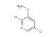 2,5-dichloro-3-methoxypyridine