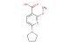 2-methoxy-6-(pyrrolidin-1-yl)nicotinic acid