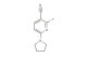 2-fluoro-6-(pyrrolidin-1-yl)nicotinonitrile