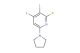 2-fluoro-3,4-diiodo-6-(pyrrolidin-1-yl)pyridine