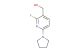 (2-fluoro-6-(pyrrolidin-1-yl)pyridin-3-yl)methanol