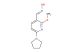 (E)-2-methoxy-6-(pyrrolidin-1-yl)nicotinaldehyde oxime