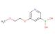 5-(2-methoxyethoxy)pyridine-3-boronic acid