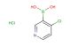 4-chloropyridine-3-boronic acid hydrochloride